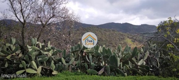 Grundstück in Santa Catarina da Fonte do Bispo, Portugal 572m², Nr. 73417 23