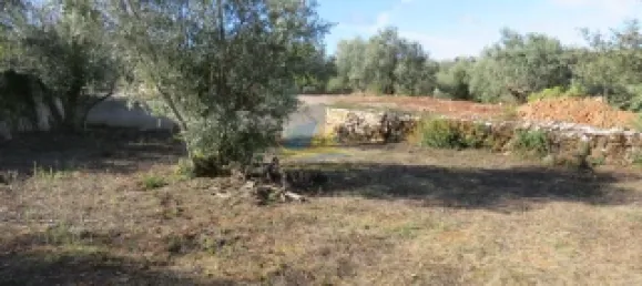 3 Schlafzimmer Haus in Alvorge, Portugal, Nr. 347877 9