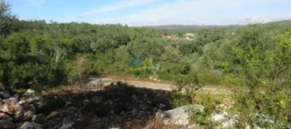 3 Schlafzimmer Haus in Alvorge, Portugal, Nr. 347877 10