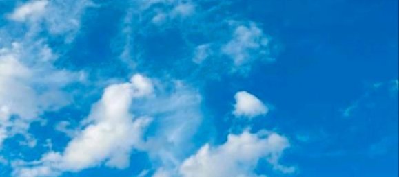 4 chambres Ferme à Mansfeld-Sudharz, Germany No. 233974 5