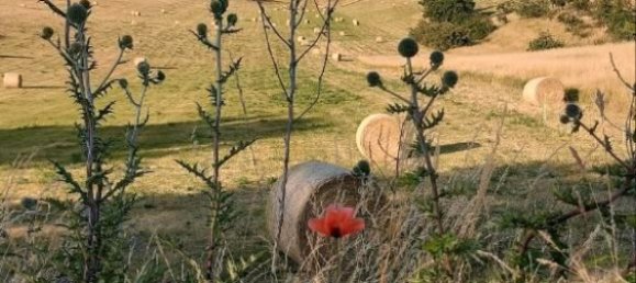 4 chambres Ferme à Mansfeld-Sudharz, Germany No. 233974 6