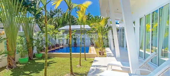 17 غرف نوم عقار تجاري في Phuket, Thailand رقم 60463 6