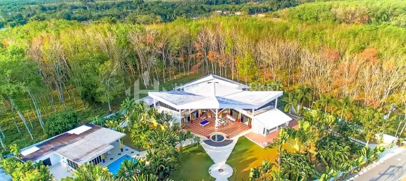 17 غرف نوم عقار تجاري في Phuket, Thailand رقم 60463 22