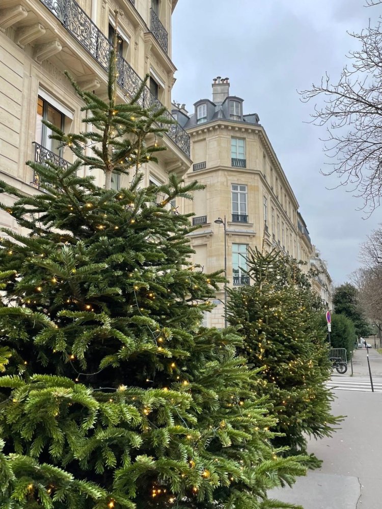 Duplex T4 em Paris, France N.º 110721