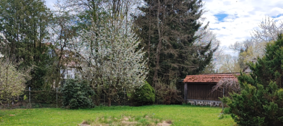 5 rooms House in Vogelsbergkreis, Germany No. 229351 6