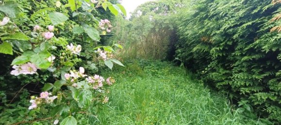 Casa T3 em Rivery, France N.º 63133 5