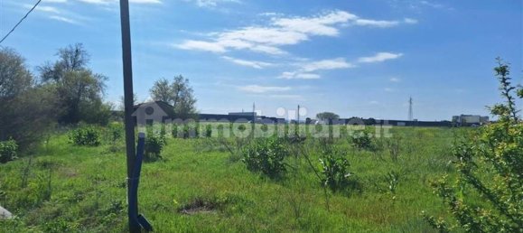 Terreno en Faenza, Italy 55522 m² No. 317070 9