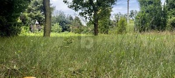 3 rooms House in Prenzlauer Berg, Germany No. 233531 4