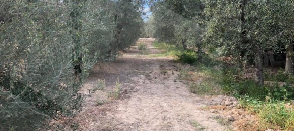 Студия в Барлетта, Италия № 26603 3