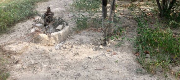 Студия в Барлетта, Италия № 26603 4