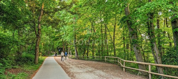 3 Schlafzimmer Penthouse in München, Germany, Nr. 339113 14