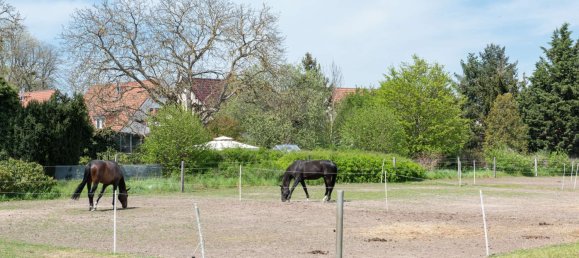 3 غرف نوم تاون هاوس في Havelland, Germany رقم 15677 13