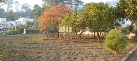 3 bedrooms Villa in Viana do Castelo, Portugal No. 53711 15