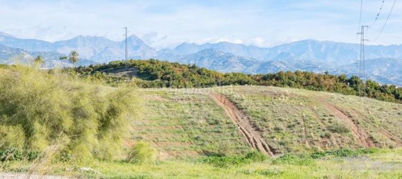 Земельный участок в Альмайяте, Испания № 169583 18