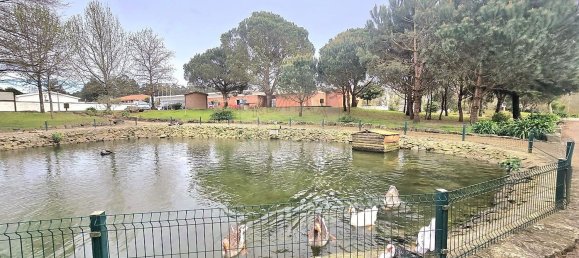 3130m² Land in Oliveira de Azemeis, Portugal No. 155329 9