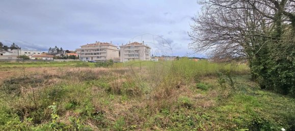 3130m² Land in Oliveira de Azemeis, Portugal No. 155329 7
