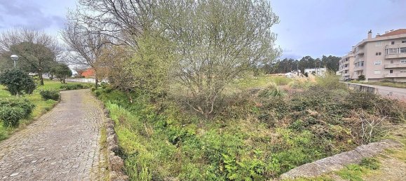 3130m² Land in Oliveira de Azemeis, Portugal No. 155329 6