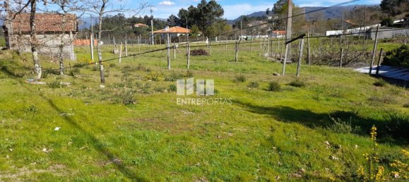 2640m² Land in Amarante, Portugal No. 57440 4