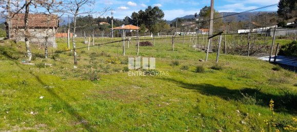 2640m² Land in Amarante, Portugal No. 57440 3