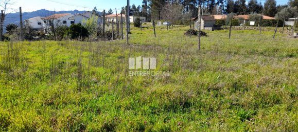 2640m² Land in Amarante, Portugal No. 57440 23