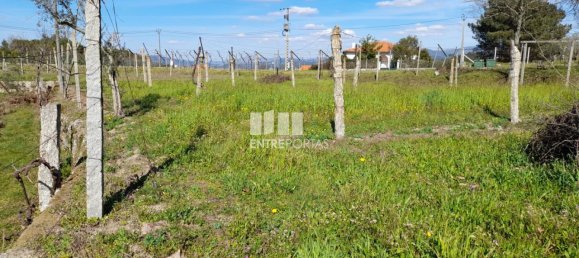 2640m² Land in Amarante, Portugal No. 57440 30