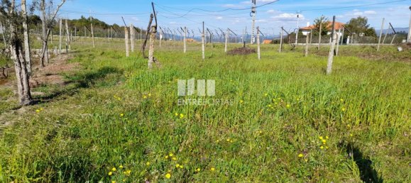 2640m² Land in Amarante, Portugal No. 57440 38