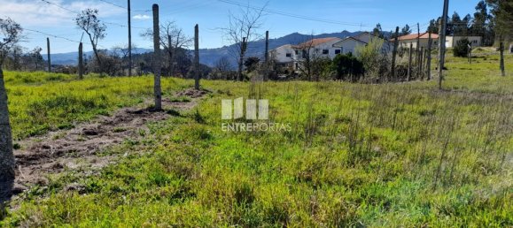 2640m² Land in Amarante, Portugal No. 57440 22
