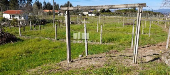 2640m² Land in Amarante, Portugal No. 57440 34