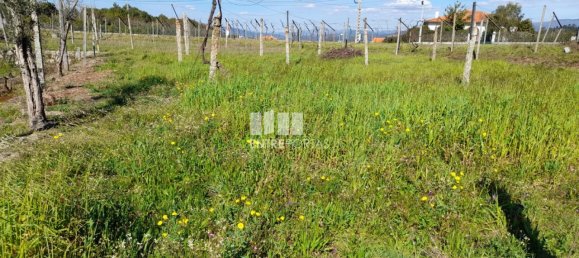 2640m² Land in Amarante, Portugal No. 57440 39