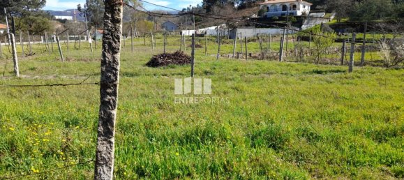 2640m² Land in Amarante, Portugal No. 57440 9