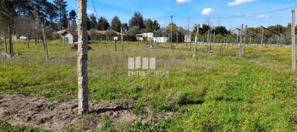 2640m² Land in Amarante, Portugal No. 57440 36