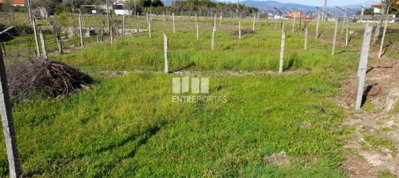 2640m² Land in Amarante, Portugal No. 57440 32
