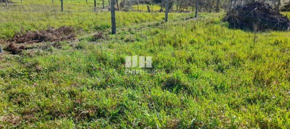 2640m² Land in Amarante, Portugal No. 57440 14