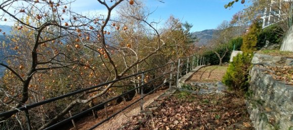 6 rooms Villa in Bee, Italy No. 50771 22