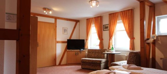 Hôtel à Harz, Germany 1724m² No. 172491 28