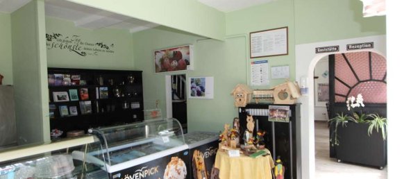 Hôtel à Harz, Germany 1724m² No. 172491 37