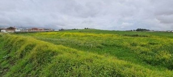 40560m² Land in Cascais, Portugal No. 58431 2