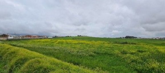 40560m² Land in Cascais, Portugal No. 58431 11