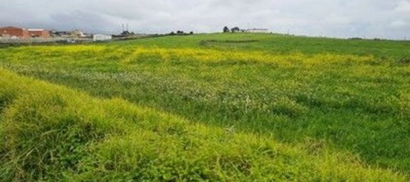 40560m² Land in Cascais, Portugal No. 58431 9