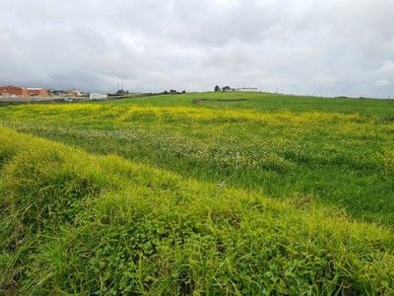 40560m² Land in Cascais, Portugal No. 58431