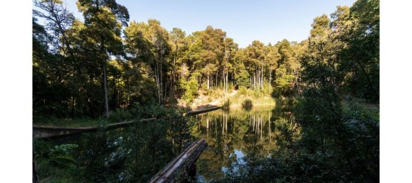9 Schlafzimmer Haus in Sintra, Portugal, Nr. 50339 3