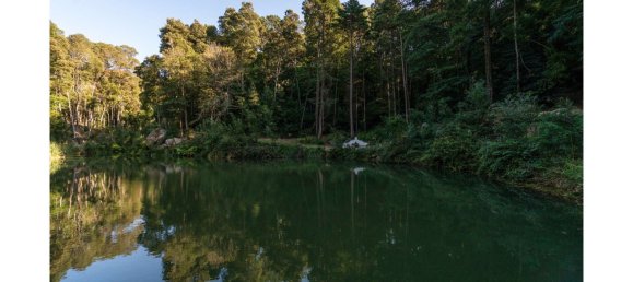9 Schlafzimmer Haus in Sintra, Portugal, Nr. 50339 4