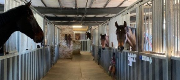 14 chambres Villa à La Capelle, France No. 67415 18