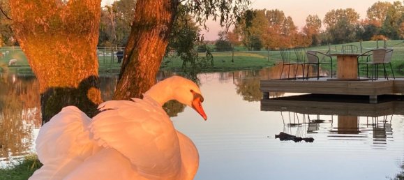 14 chambres Villa à La Capelle, France No. 67415 13