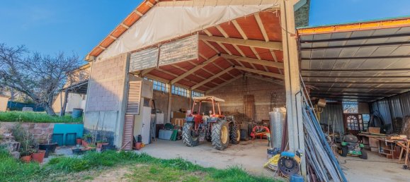 7 Schlafzimmer Hotel in Monteverdi Marittimo, Italy, Nr. 65998 23