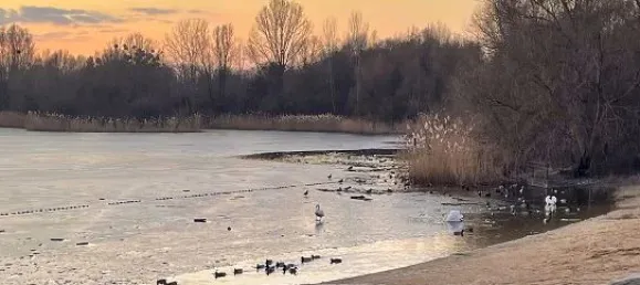Casa de 3 dormitorios en Falkenhagener Feld, Germany No. 21998 20