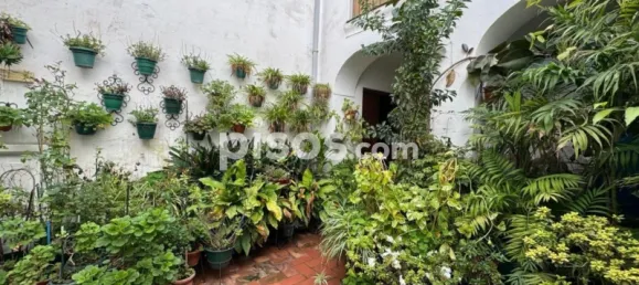 Дом с 9 спальнями в Кордова, Испания № 84176 20