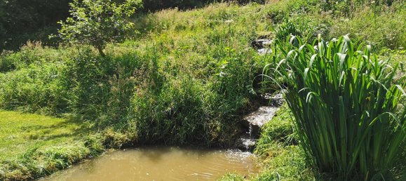 4 bedrooms House in Mayenne, France No. 357829 5
