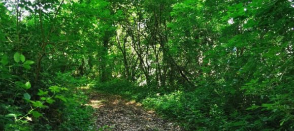 4 bedrooms House in Mayenne, France No. 357829 3