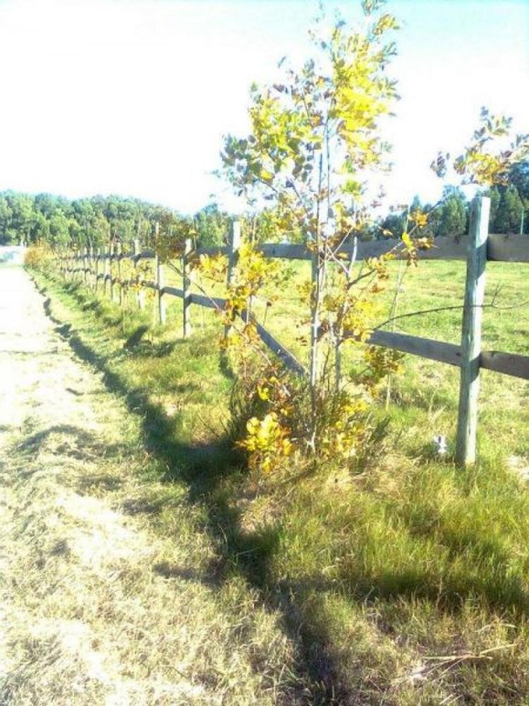 Grundstück in Maldonado, Uruguay, Nr. 14454